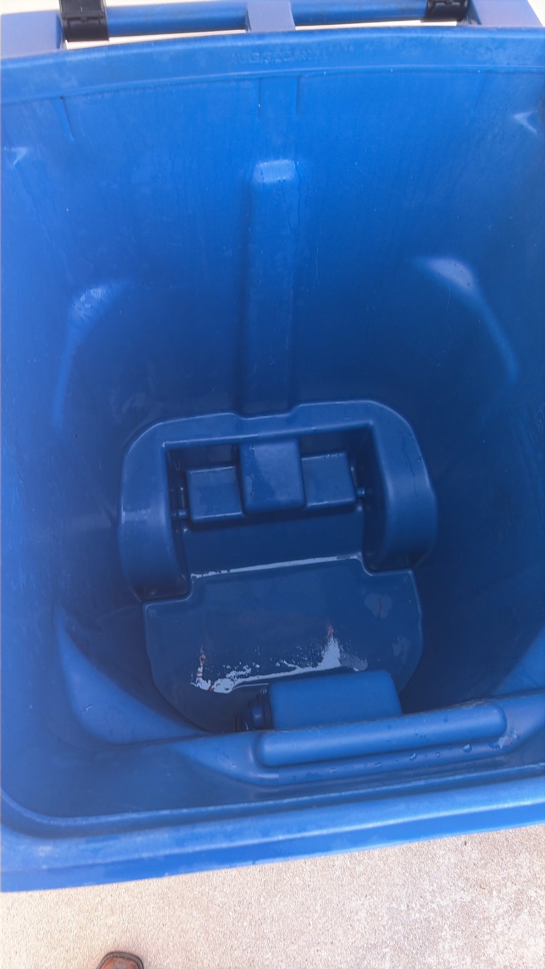 Recycle bin after cleaning