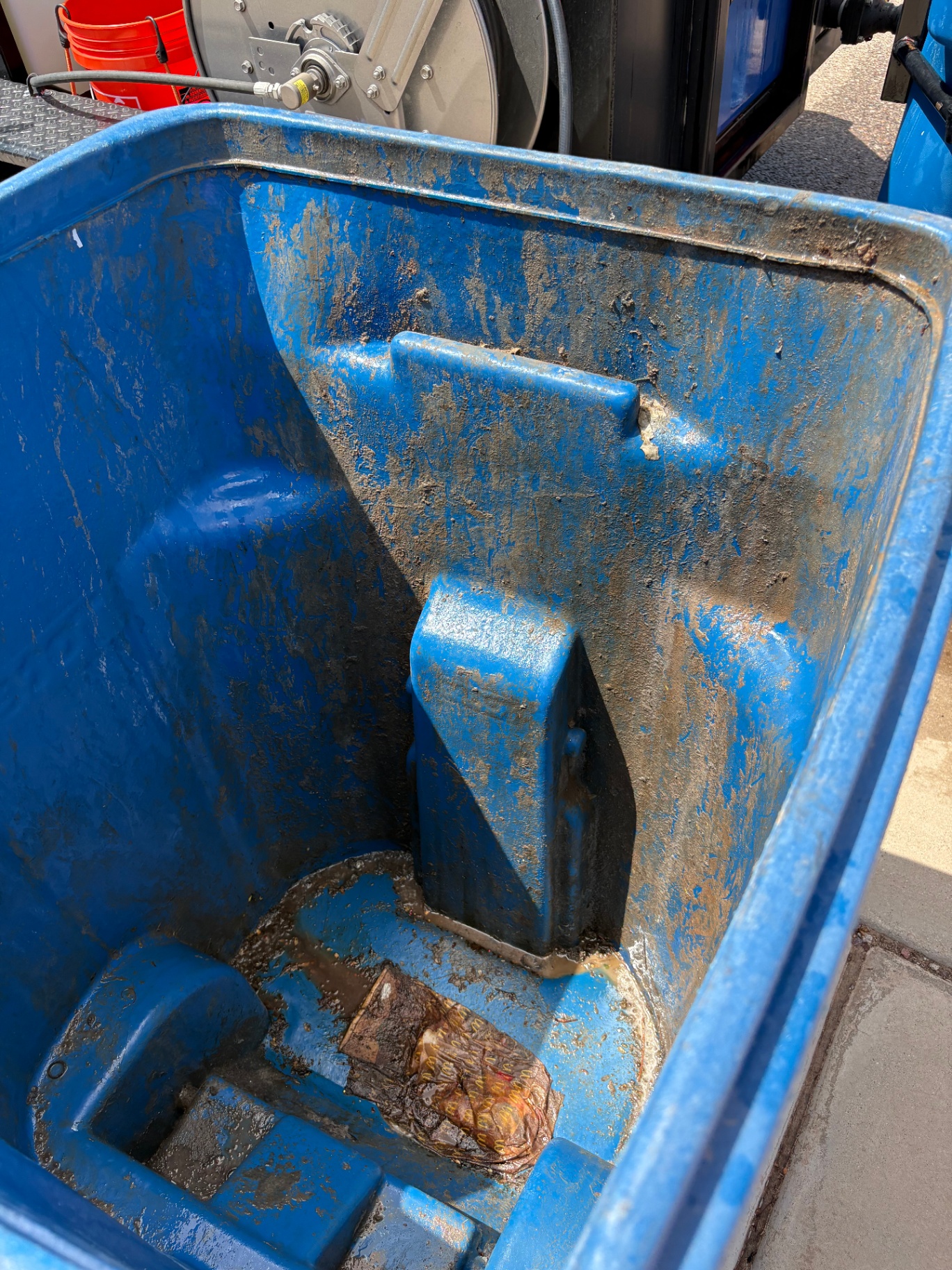 Recycle bin before cleaning